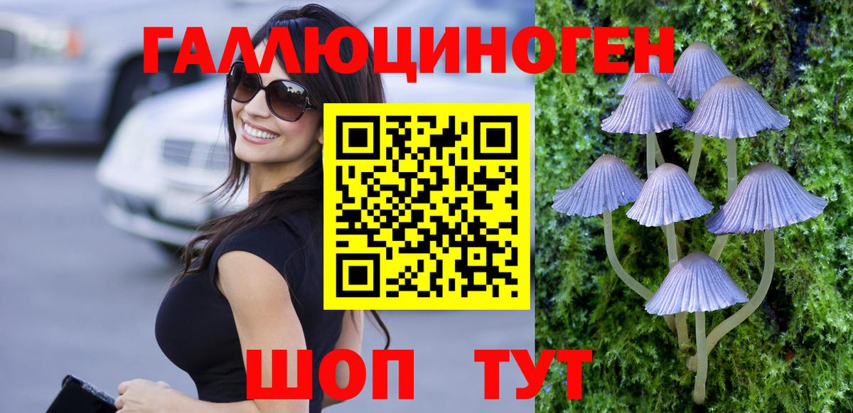 Карпинск  Псилоцибиновые грибы Cubensis  Псилоцибиновые грибы Magic Shrooms  Вход с VPN 